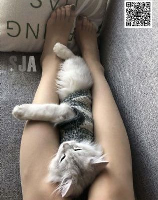 日韩暖暖视频一区二区_4K在线手机播放