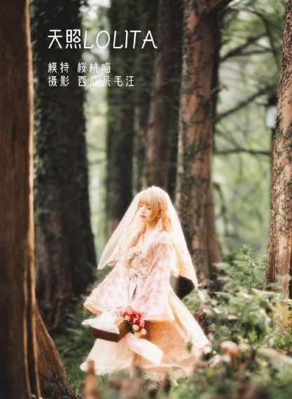 动漫一品二品精区在线_成人在线观看免费