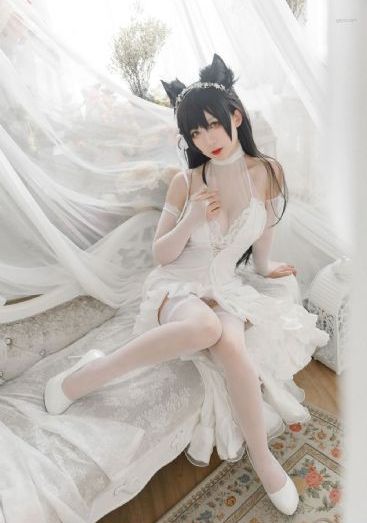 亚洲男人的天堂久久av_4K在线观看高清